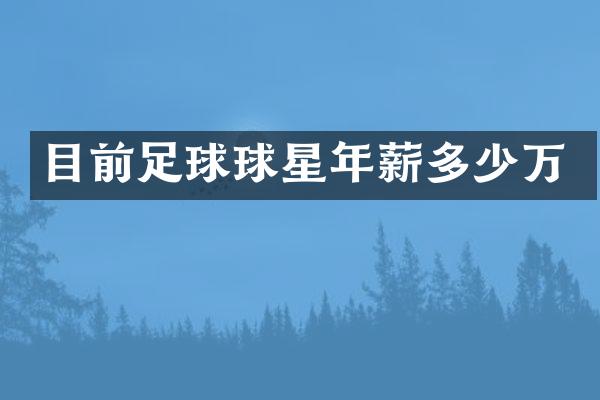 目前足球球星年薪多少万