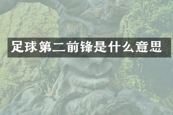 足球第二前锋是什么意思