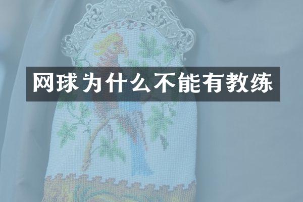 网球为什么不能有教练