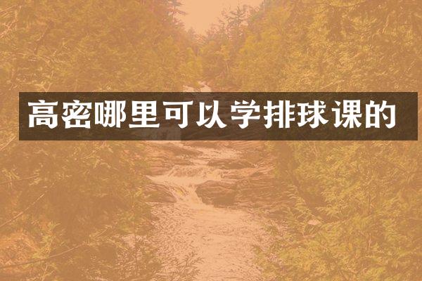 高密哪里可以学排球课的