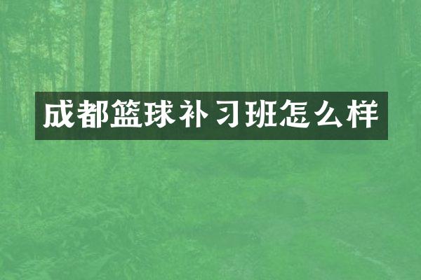 成都篮球补习班怎么样