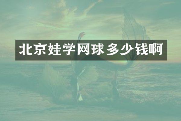 北京娃学网球多少钱啊