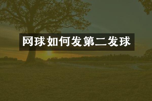 网球如何发第二发球
