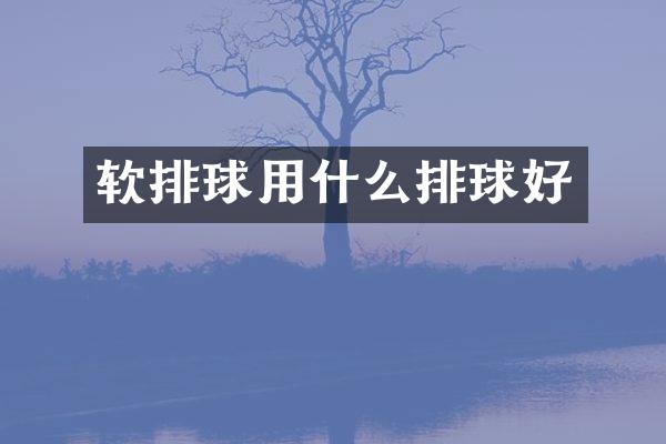 软排球用什么排球好