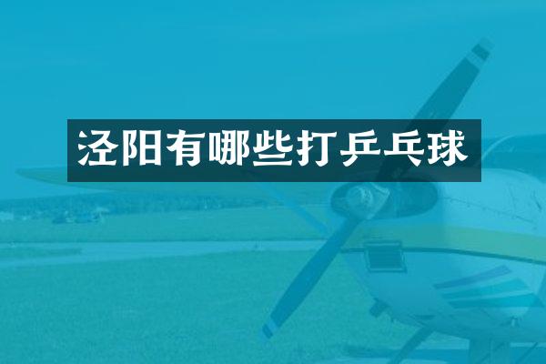 泾阳有哪些打乒乓球