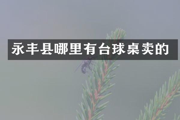 永丰县哪里有台球桌卖的