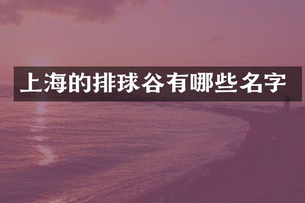 上海的排球谷有哪些名字