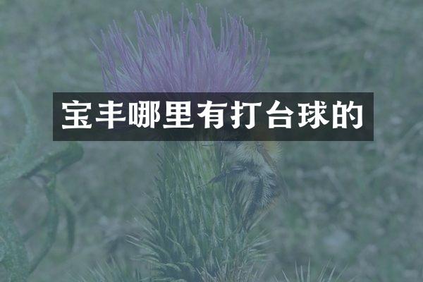 宝丰哪里有打台球的