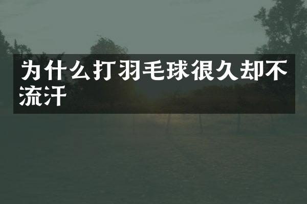 为什么打羽毛球很久却不流汗