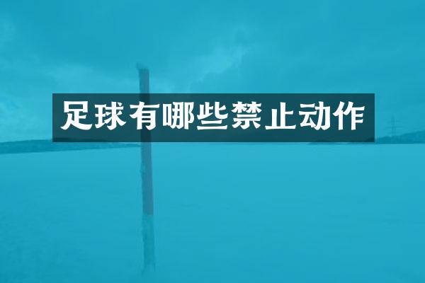 足球有哪些禁止动作