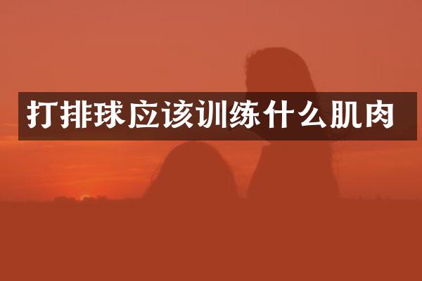 打排球应该训练什么肌肉