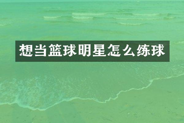 想当篮球明星怎么练球