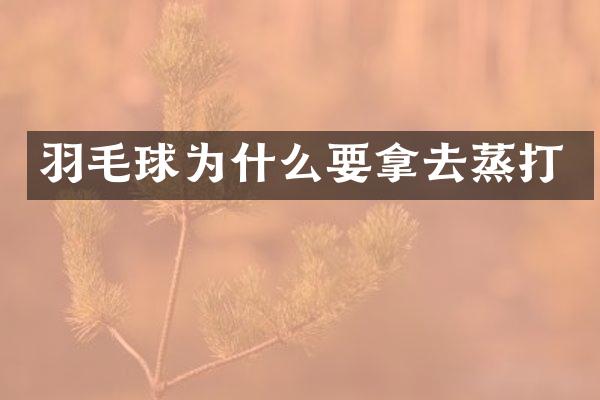 羽毛球为什么要拿去蒸打