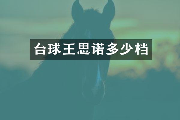 台球王思诺多少档