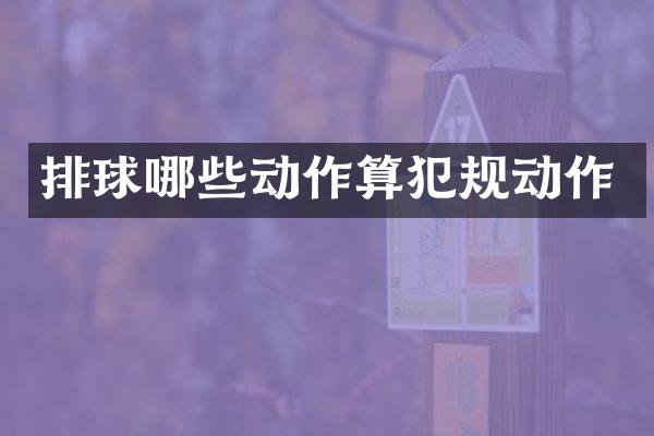排球哪些动作算犯规动作