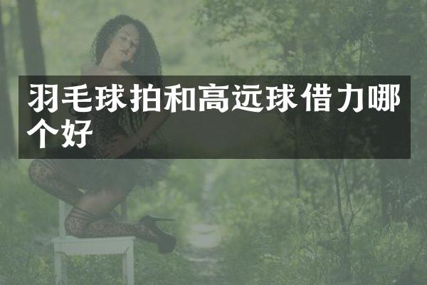 羽毛球拍和高远球借力哪个好
