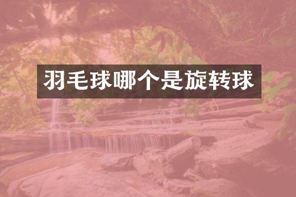 羽毛球哪个是旋转球
