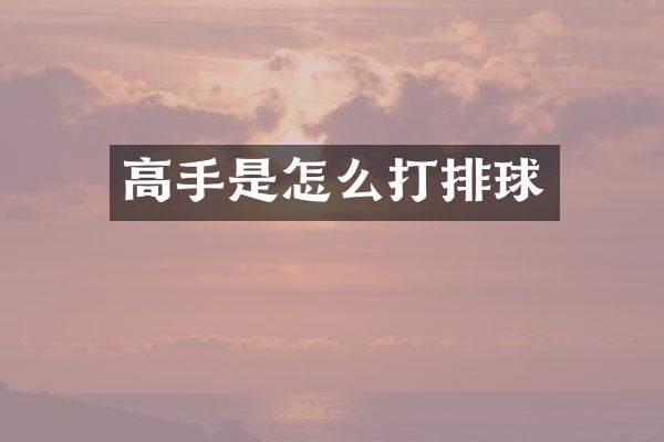 高手是怎么打排球