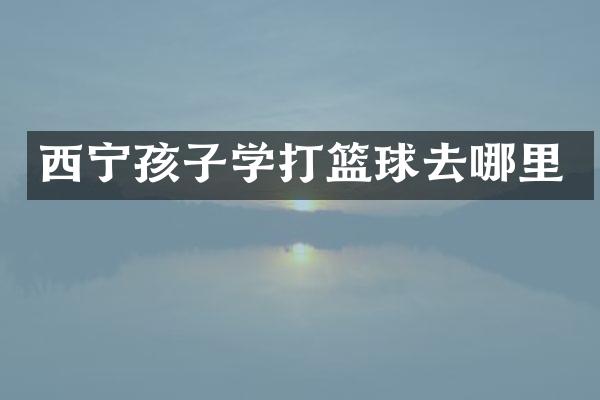 西宁孩子学打篮球去哪里