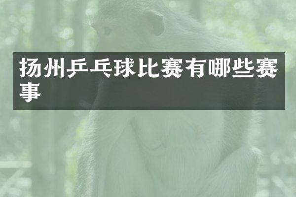 扬州乒乓球比赛有哪些赛事