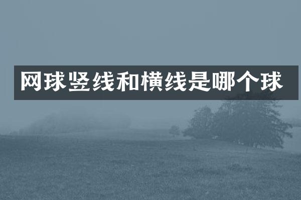 网球竖线和横线是哪个球