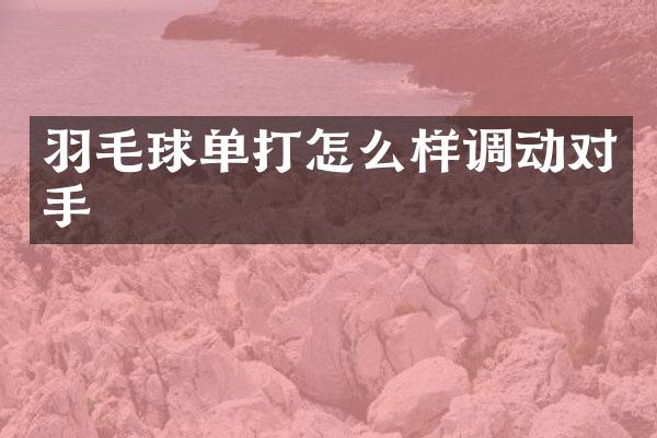 羽毛球单打怎么样调动对手