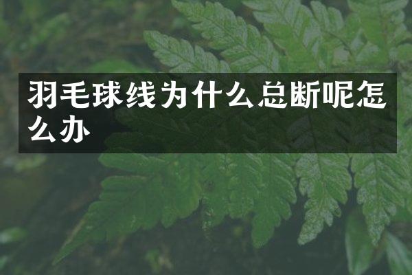羽毛球线为什么总断呢怎么办