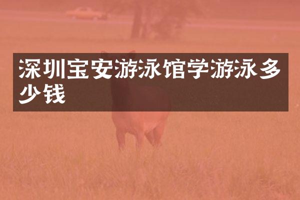 深圳宝安游泳馆学游泳多少钱