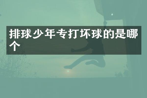 排球少年专打坏球的是哪个