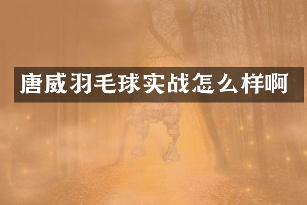 唐威羽毛球实战怎么样啊