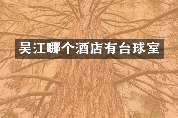 吴江哪个酒店有台球室