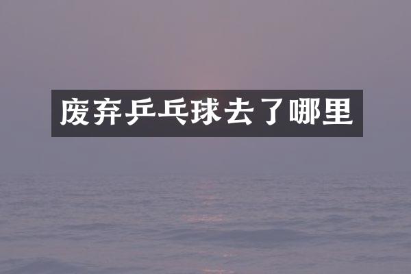 废弃乒乓球去了哪里