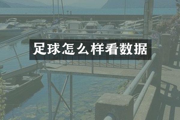 足球怎么样看数据