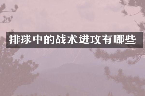 排球中的战术进攻有哪些