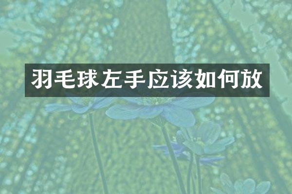 羽毛球左手应该如何放