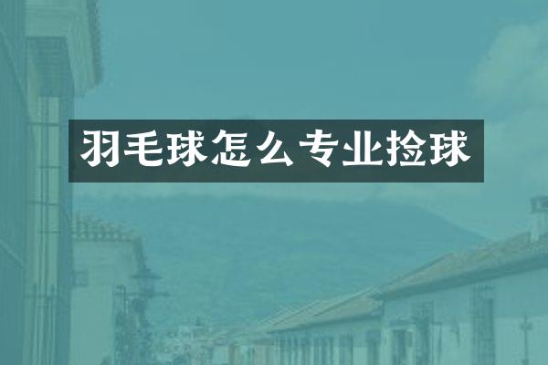 羽毛球怎么专业捡球