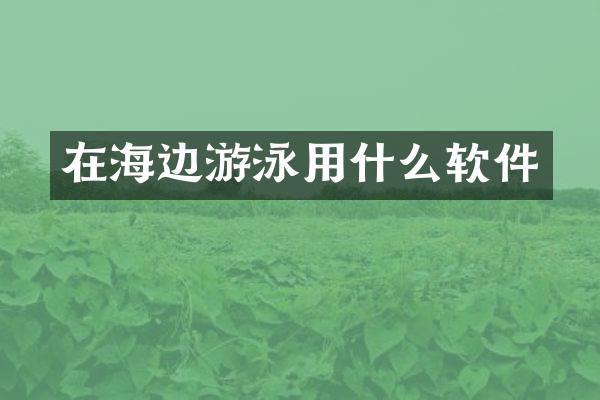 在海边游泳用什么软件