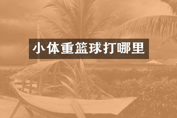小体重篮球打哪里
