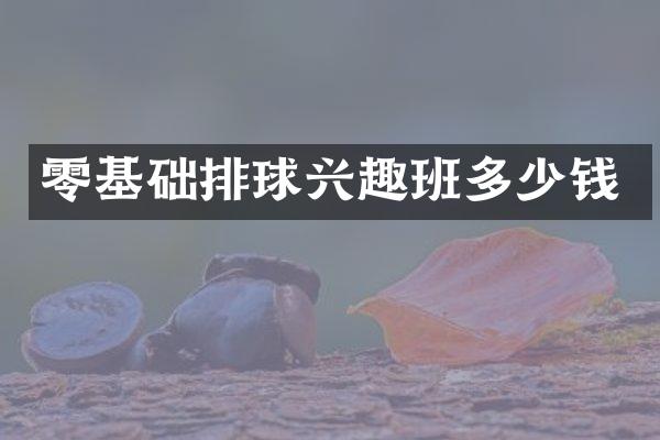 零基础排球兴趣班多少钱
