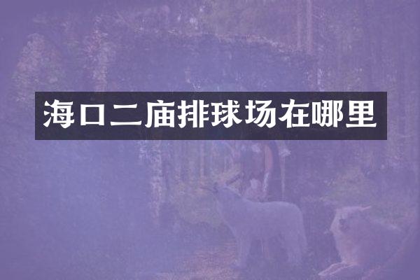 海口二庙排球场在哪里