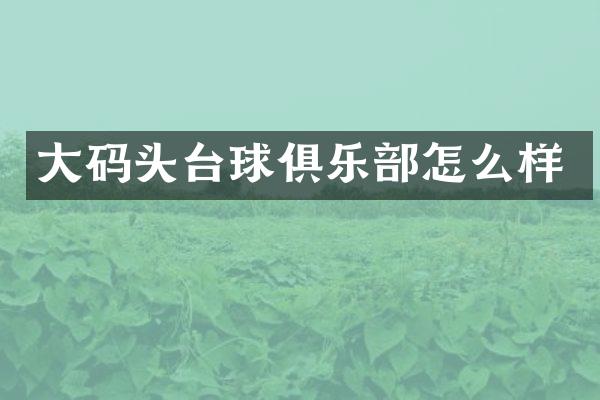 大码头台球俱乐部怎么样
