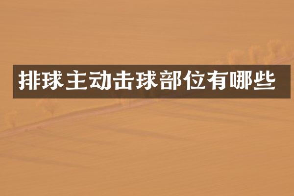排球主动击球部位有哪些