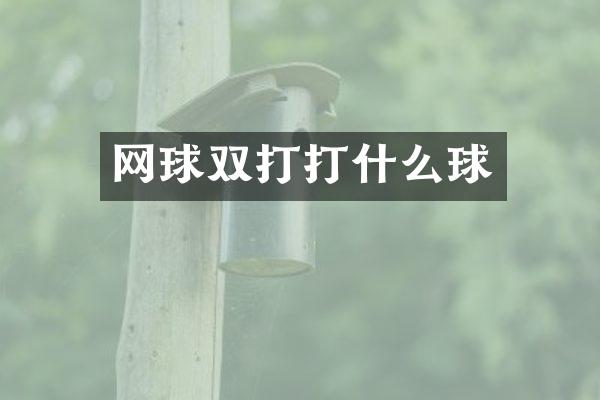 网球双打打什么球