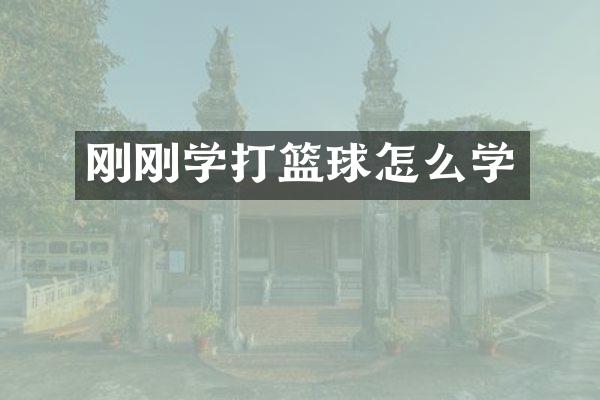 刚刚学打篮球怎么学