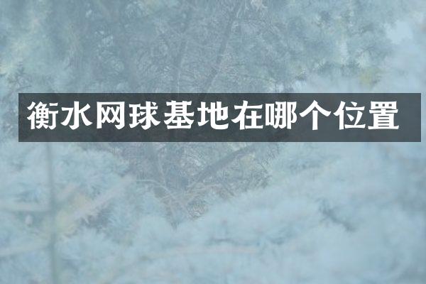 衡水网球基地在哪个位置