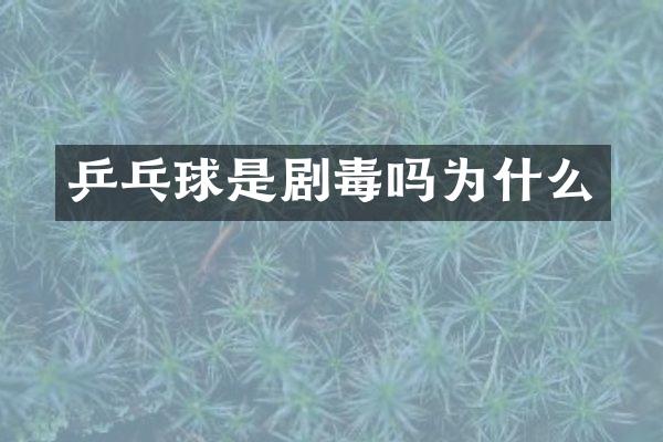 乒乓球是剧毒吗为什么