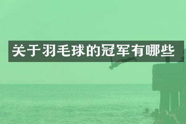 关于羽毛球的冠军有哪些