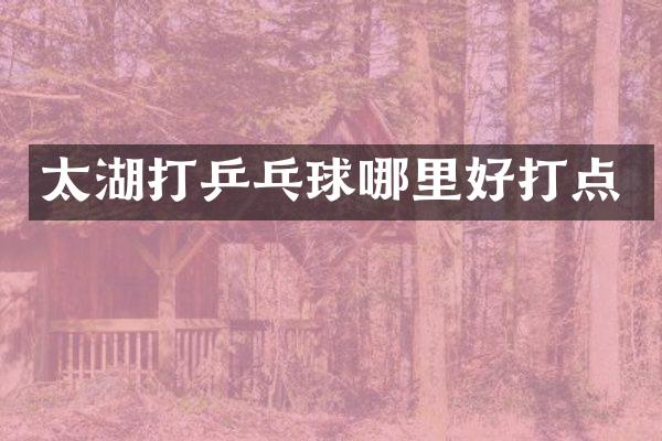 太湖打乒乓球哪里好打点