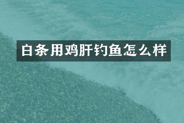 白条用鸡肝钓鱼怎么样