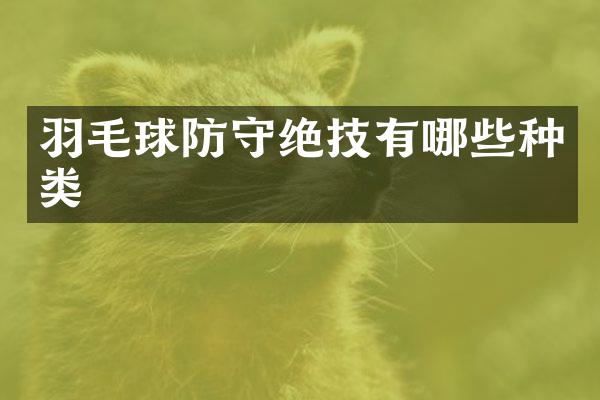 羽毛球防守绝技有哪些种类